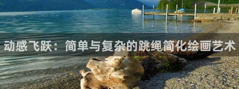 征途国际集团E.ON：动感飞跃：简单与复杂的跳绳简化绘画艺术