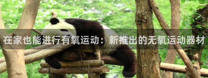 征途国际平台注册要钱吗是真的吗：在家也能进行有氧运动：新推出