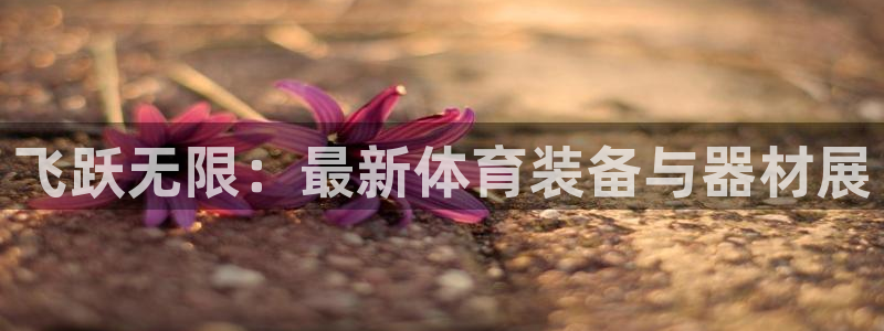 征途国际官方：飞跃无限：最新体育装备与器材展