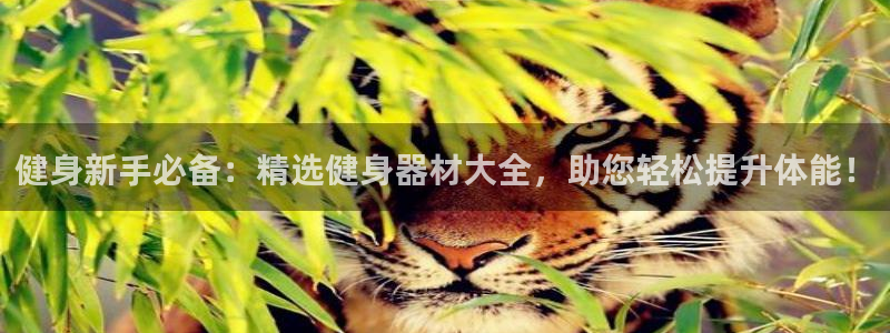 征途国际集团logo：健身新手必备：精选健身器材大全，助您轻