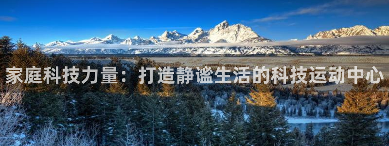 征途国际招商：家庭科技力量：打造静谧生活的科技运动中心
