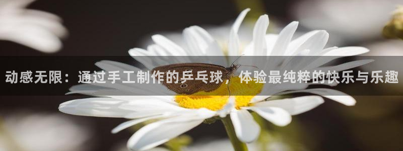 征途国际娱乐网站：动感无限：通过手工制作的乒乓球，体验最纯粹