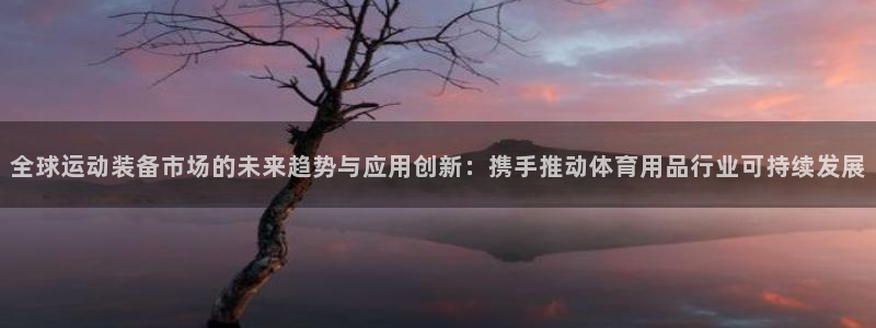 征途国际集团官网首页：全球运动装备市场的未来趋势与应