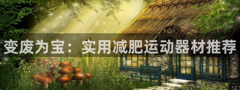 征途国际：变废为宝：实用减肥运动器材推荐