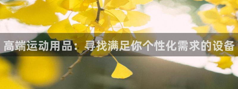 征途国际娱乐网站：高端运动用品：寻找满足你个性化需求