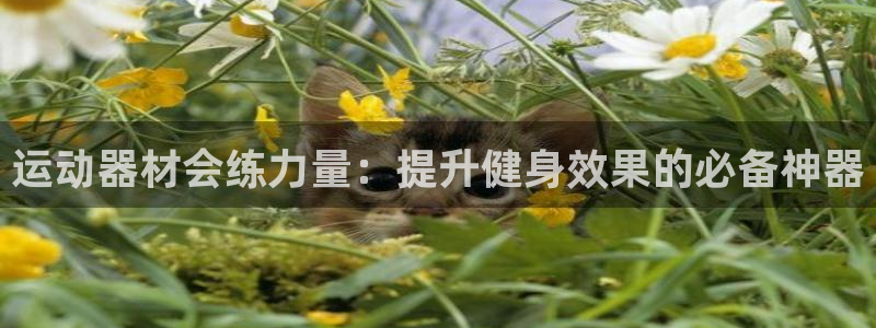 征途国际平台注册要钱吗是真的吗：运动器材会练力量：提