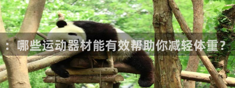 征途国际平台体育：：哪些运动器材能有效帮助你减轻体重