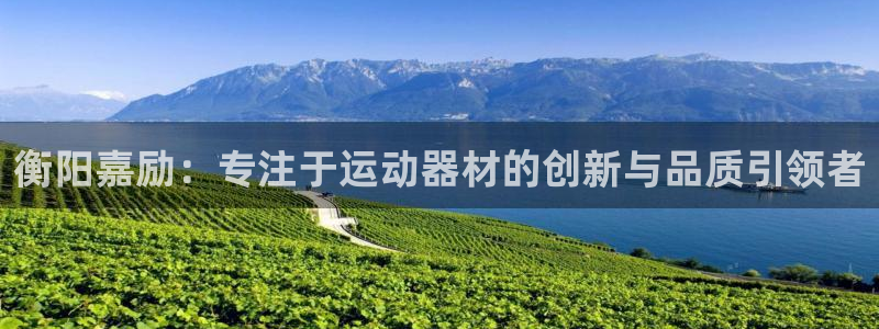 征途国际平台：衡阳嘉励：专注于运动器材的创新与品质引领者