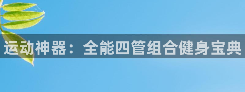 征途国际平台：运动神器：全能四管组合健身宝典
